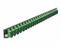 DeLock Verteilerplatte Frontblende 24 Port