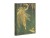 Bild 1 Paperblanks Notizbuch Olive Fairy 9.5 cm x 14 cm