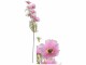 CHALET Kunstblume Cosmos 72 cm, Rosa, Produkttyp: Schnittblumen