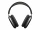Apple Wireless Over-Ear-Kopfhörer AirPods Max Space Grau