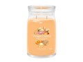 Yankee Candle Signature Duftkerze Mango Ice Cream Signature Large Jar, Bewusste