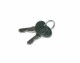 Wirewin Ersatzschlüssel für CAB Schränke, 2 Stück