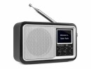 Audizio DAB+ Radio Parma Silber, Radio Tuner: FM, DAB+