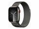 Apple WATCH S9 41 GPH SS GPH ML CEL-FGN