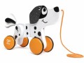 Hape Nachziehspielzeug Pull Along Dalmatian, Altersempfehlung