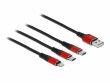 DeLock USB-Ladekabel USB A - Lightning/USB C 0.3