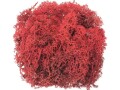 Glorex Moos Island Rot, Farbe: Rot, Moos