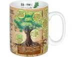 Könitz Kaffeetasse Wissensbecher Bäume 490 ml , 1 Stück