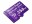 Bild 1 Western Digital MicroSD Purple 256GB