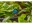 Image 5 Gardena Sprühdüse 6 in 1 Micro-Drip-System, Bewässerungsart