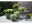 Bild 1 Van der Gucht Blumentopf Woodstone Ø 35 cm x 33 cm