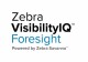 Zebra Technologies VISIBILITYIQ FORESIGHT IOT SERV 25 TO 2499 DEVICES 1-YR