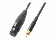 PD Connex PD Connex CX52-8 XLR 3 Pole, male 