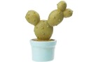 HobbyFun Mini-Utensilien Kaktus mit Topf 4.5 cm, Detailfarbe