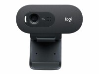 Logitech LOGI C505e HD Webcam BLK WW