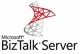 Microsoft BizTalk Server Standard Edition - Licence & software
