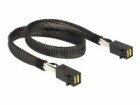 DeLock SAS-Kabel SFF-8643 - SFF-8643 50 cm, Datenanschluss