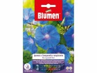 Blumen Saatgut Grossblütige Kletterwinde, Bio: Nein