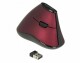 DeLock Ergonomische Maus 12528 USB kabellos, Maus-Typ