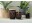 Bild 1 Woodwick Duftkerze Lavender & Cypress ReNew Medium Jar, Bewusste