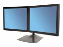 Ergotron - DS100 Dual-Monitor Desk Stand, Horizontal