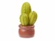 HobbyFun Mini-Utensilien Kaktus mit Topf 4 cm, Detailfarbe: Beige