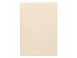 Artoz Bastelpapier 1001 A4 220 g/m² Ivory, 5 Blatt