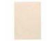 Artoz Bastelpapier 1001 A4 220 g/m² Ivory, 5 Blatt