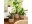 Bild 2 scheurich Pflanzengefäss mit Griffen 22 x 19.5 cm