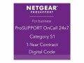 NETGEAR ProSupport OnCall 24x7 Category S1 - Technischer