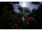Bild 15 SIGMA Zoomobjektiv 14-24mm F/2.8 DG DN Art Sony E-Mount