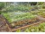 Bild 2 Gardena Start-Set Tropfbewässerung für Gemüse