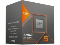 AMD CPU AMD RYZEN 5 8600G AI / AM5 / BOX AMD Ryzen 5