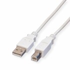 VALUE USB 2.0 Kabel - Typ A-B - weiss - 1,8 m
