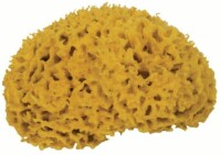 FRINA Eponge naturelle 913.05 jaune 5cm, Pas de droit
