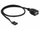DeLock USB 2.0-Kabel Pinheader - USB A 0.4 m