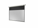 Celexon Motorleinwand Pro 290x163 cm 16:9, Leinwandtyp