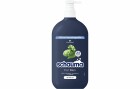 Schwarzkopf Schauma Schauma Shampoo For Men, 750 ml