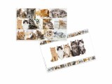 HERMA Schreibunterlage Katzen 55 x 35 cm, Breite: 35