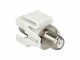 DeLock Delock Keystone Koax Modul [IEC-Stecker >