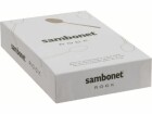 Sambonet Espressolöffel Rock 6 Stück, Champagner, Produkttyp