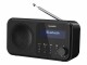 Bild 9 Sharp DAB+ Radio DR-P420 ? Schwarz, Radio Tuner: DAB