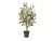 Bild 0 Botanic-Haus Kunstpflanze Olivenbaum, 60 cm, Produkttyp: Topfpflanze