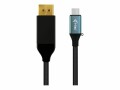 i-tec - DisplayPort-Kabel - USB-C (M) zu DisplayPort (M