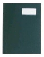 VIQUEL Sichtbuch A4 508003-04 grün 40 Taschen, Kein