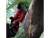 Image 3 AMAZONAS Hängematte Adventure Moskito Forest, Bewusste