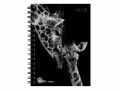 Biella Schüleragenda Mydiary Animal 24/25 FSC, 3½T/1S, 12x16.5 cm