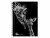 Bild 0 Biella Schüleragenda Mydiary Animal 24/25 FSC, 3½T/1S, 12x16.5 cm