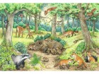 Ravensburger Kleinkinder Puzzle WWW Tiere im Wald und auf