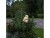 Bild 1 Star Trading Gartenlicht Solardekoration Owl, Beige, Betriebsart